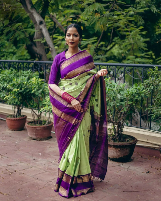 Pista Green Banarasi Soft Silk Saree with Purple Jacquard Border – Perfect for Special Occasions